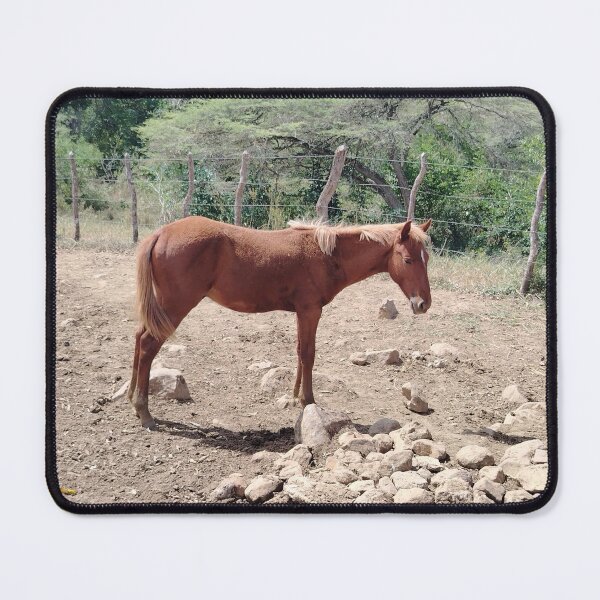 Item preview, Young Reddish Chestnut Horse designed and sold by Yesskathe.