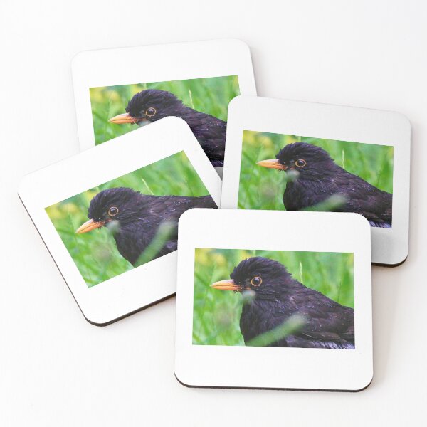 Item preview, Cute male blackbird  designed and sold by Ribster13.