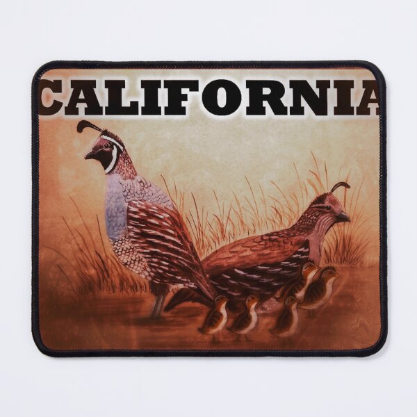 Item preview, California Quail designed and sold by Matt Starr Fine Art .