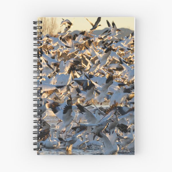 Item preview, Snow Geese take off designed and sold by Eivor Kuchta.