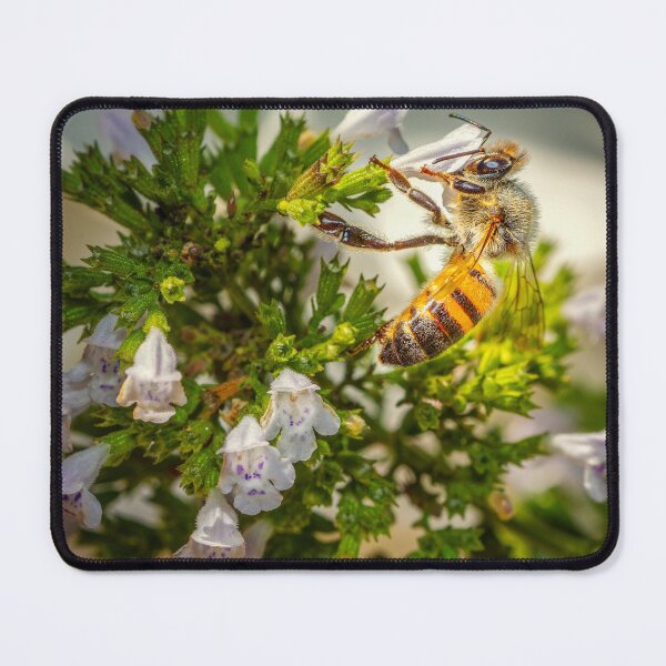 Item preview, Busy Bee working hard designed and sold by TheHikersEye.
