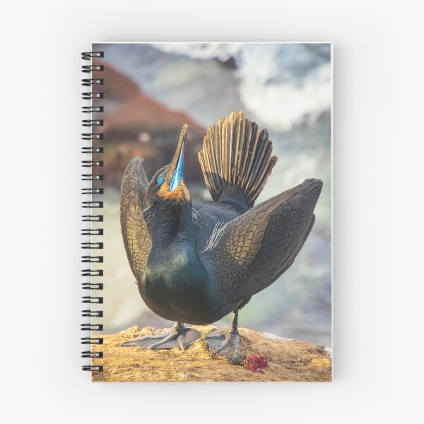 Item preview, Ceremony of the Sea: Cormorant in Display designed and sold by TheHikersEye.