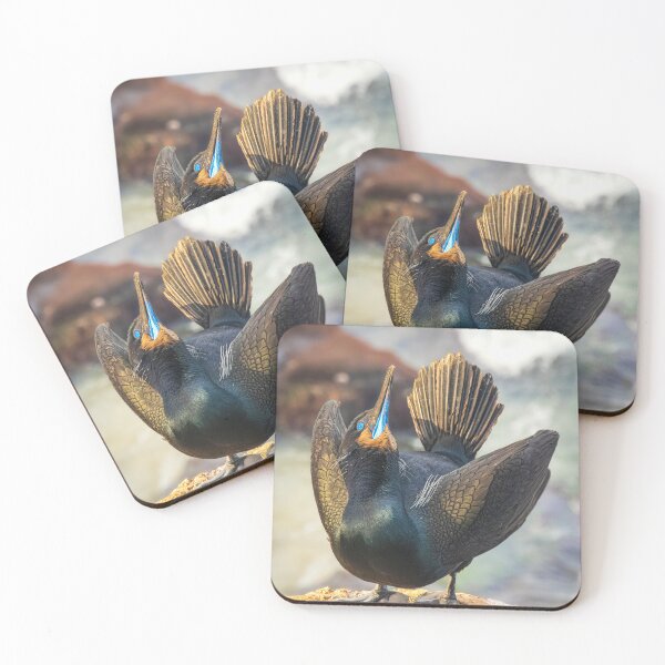 Item preview, Ceremony of the Sea: Cormorant in Display designed and sold by TheHikersEye.