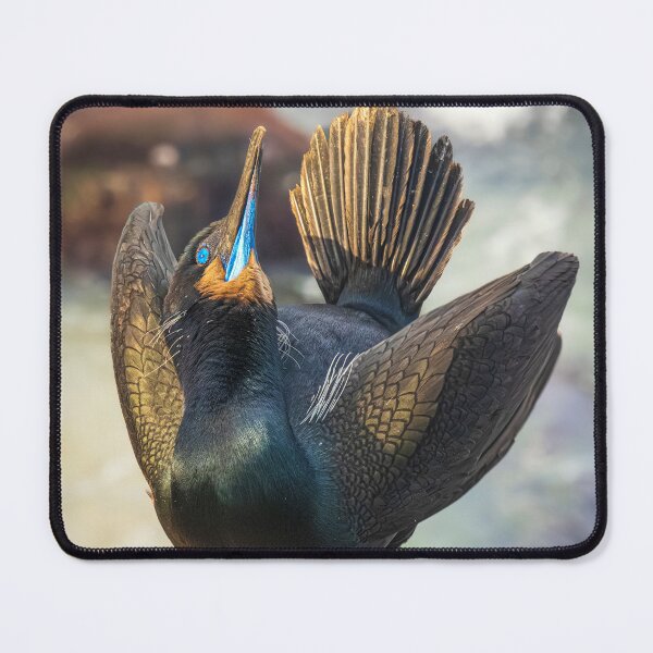 Item preview, Ceremony of the Sea: Cormorant in Display designed and sold by TheHikersEye.