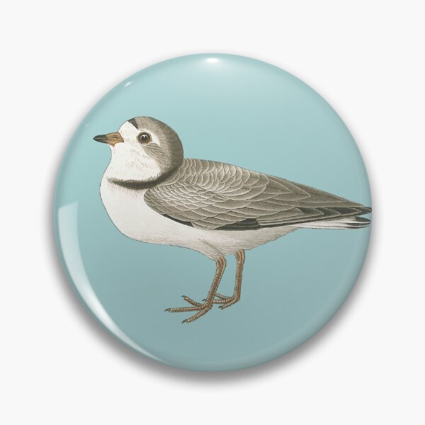 Item preview, audubon's piping plover female designed and sold by Herons.