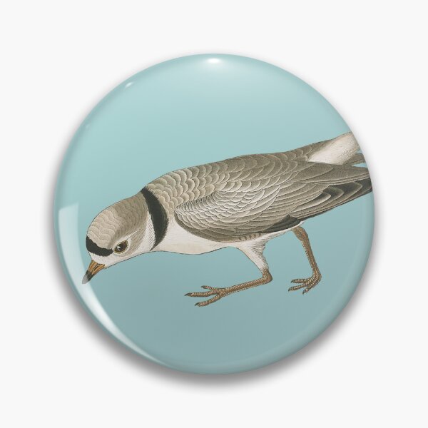 Item preview, audubon's piping plover male designed and sold by Herons.