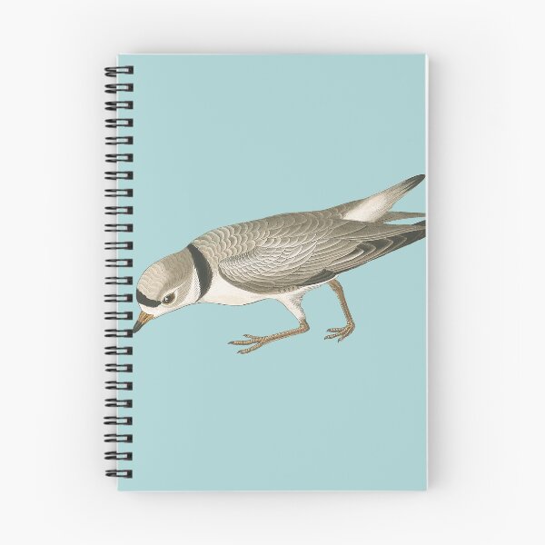 Item preview, audubon's piping plover male designed and sold by Herons.