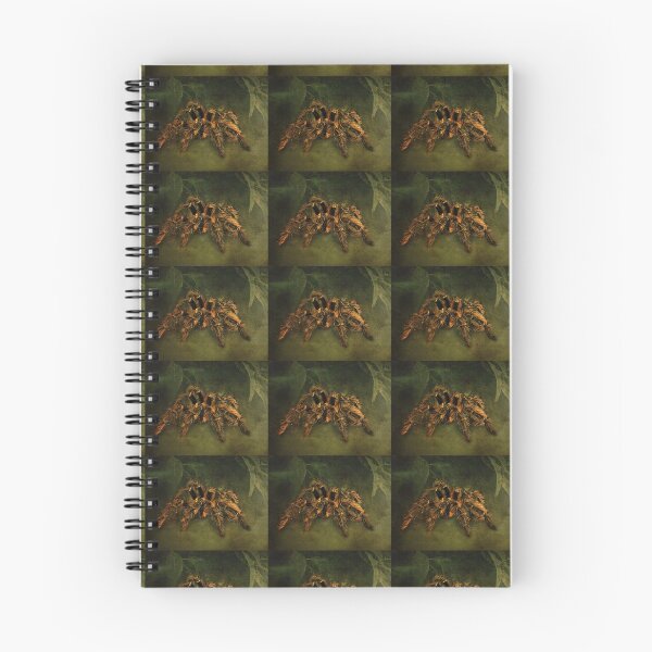 Item preview, Tarantula designed and sold by Carol Bleasdale.