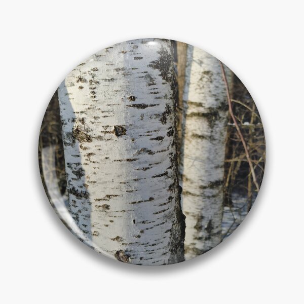 Item preview, Birch in Winter Light designed and sold by EndOfRainbowArt.