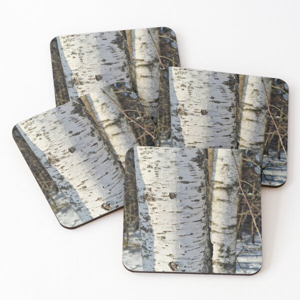 Item preview, Birch in Winter Light designed and sold by EndOfRainbowArt.