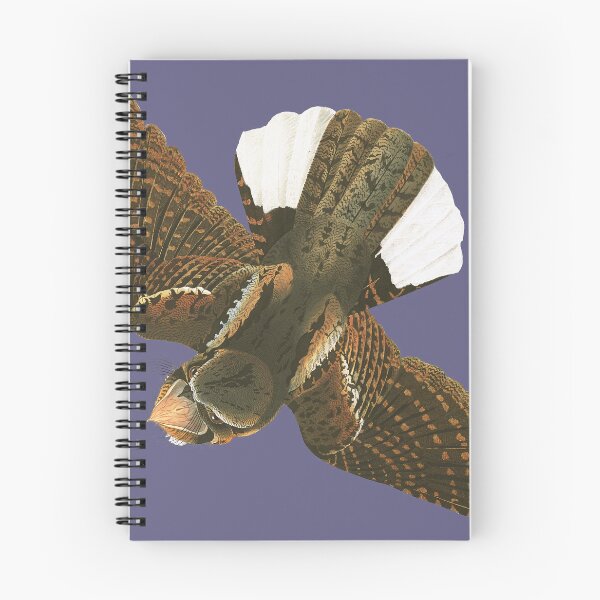 Item preview, audubon's whip-poor-will 1 designed and sold by Herons.