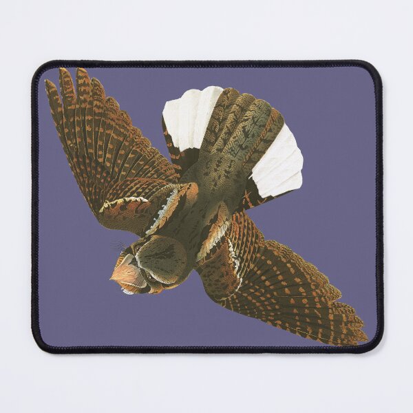 Item preview, audubon's whip-poor-will 1 designed and sold by Herons.