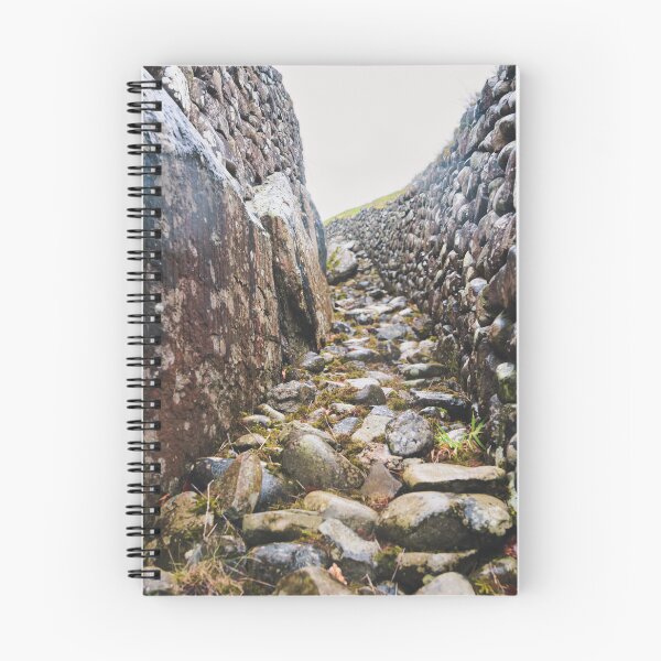 Item preview, Ancient Stone Passage Through Newgrange Tomb Ireland designed and sold by AshleyMobleyArt.
