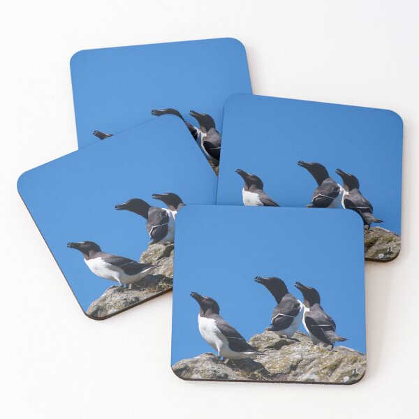 Item preview, Ninjas in feathers designed and sold by vfphoto.