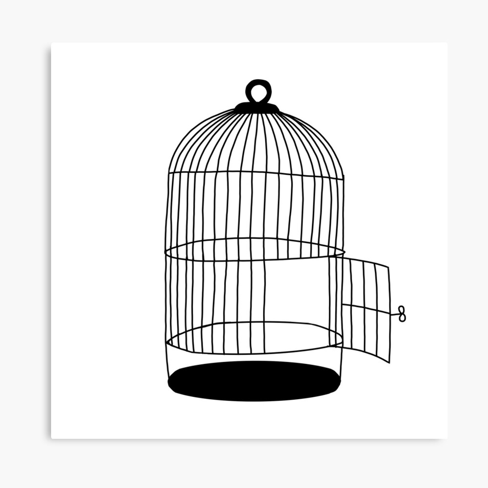 Buy Open Bird Cage Online In India  Etsy India