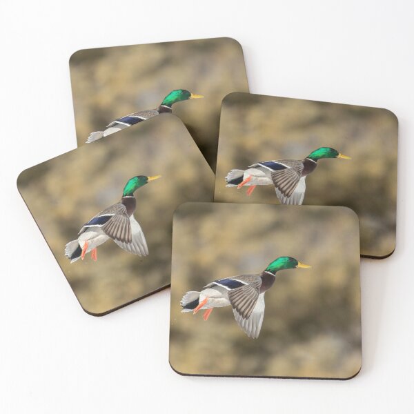 Item preview, Drake Mallard Duck in flight 2-1-2026 designed and sold by Thomasyoung.