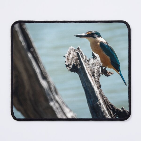 Item preview, Sacred Kingfisher II designed and sold by D-GaP.