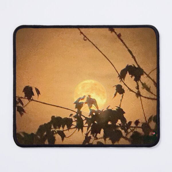 Artikelvorschau, Der Maismond entworfen und verkauft von KaraWinPhotography.
