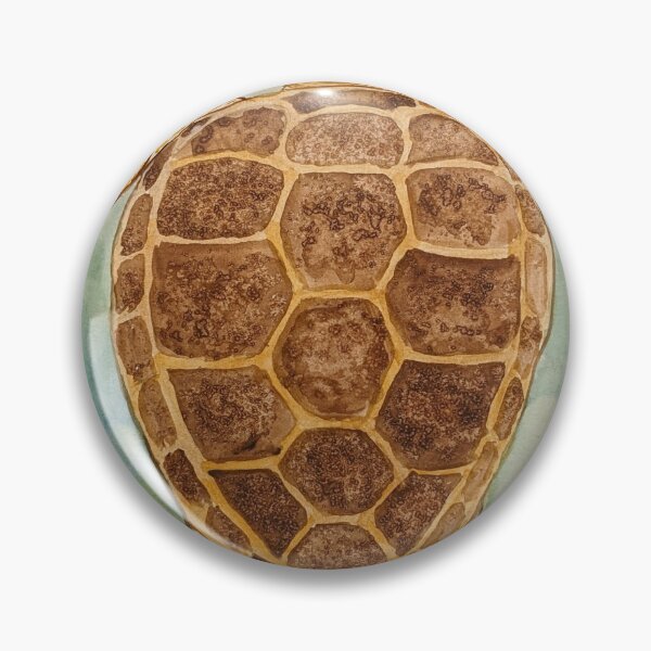 Artikelvorschau, Unechte Karettschildkröte entworfen und verkauft von Matt Starr Fine Art .