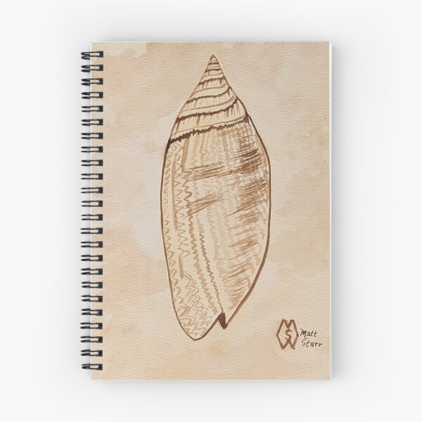 Item preview, Lettered Olive Shell designed and sold by Matt Starr Fine Art .
