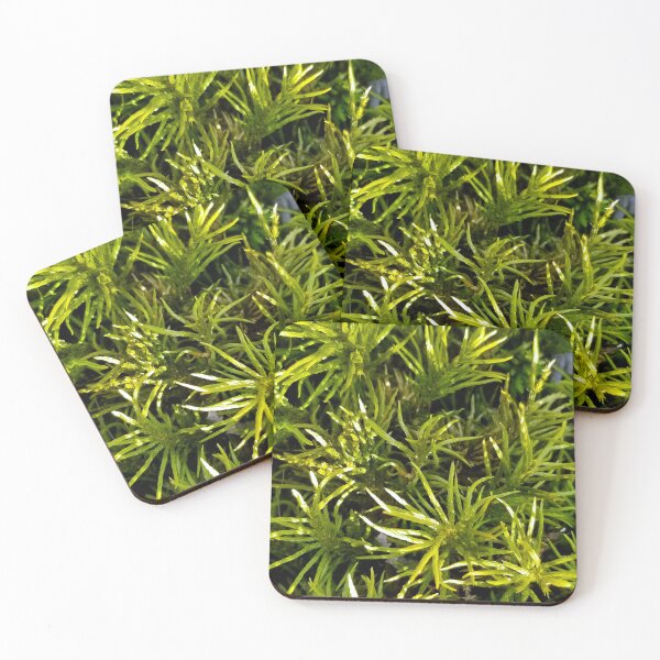 Item preview, Tree Moss designed and sold by bjtomiko.