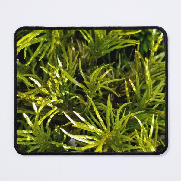Item preview, Tree Moss designed and sold by bjtomiko.