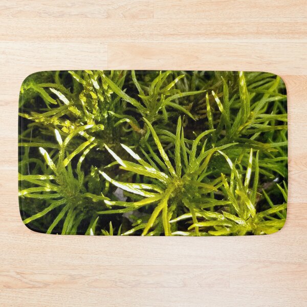Item preview, Tree Moss designed and sold by bjtomiko.