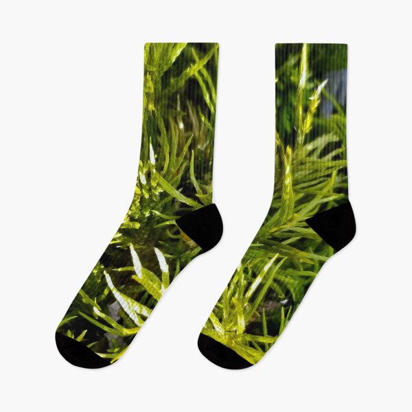 Item preview, Tree Moss designed and sold by bjtomiko.