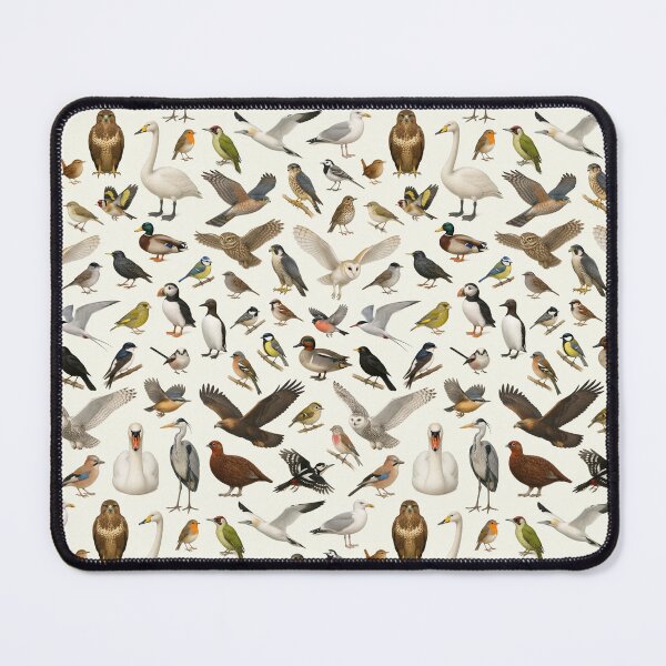 Item preview, Birds of British Isles Retro Ornithology Identification Chart designed and sold by kakarikihill.