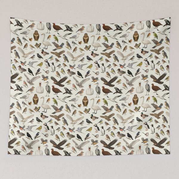 Item preview, Birds of British Isles Retro Ornithology Identification Chart designed and sold by kakarikihill.