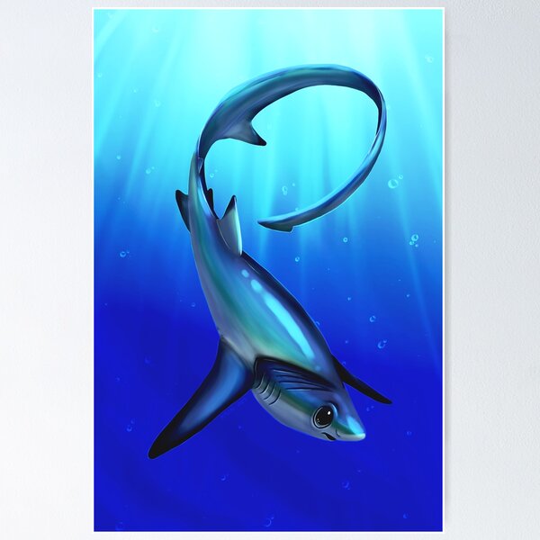 Item preview, Bigeye Thresher Shark designed and sold by JeMiChi Art.