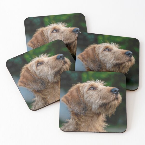Item preview, Cute Griffon Fauve de Bretagne designed and sold by Elisabeth Lucas.