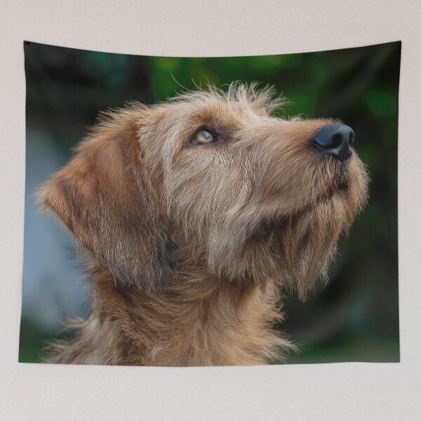Item preview, Cute Griffon Fauve de Bretagne designed and sold by Elisabeth Lucas.