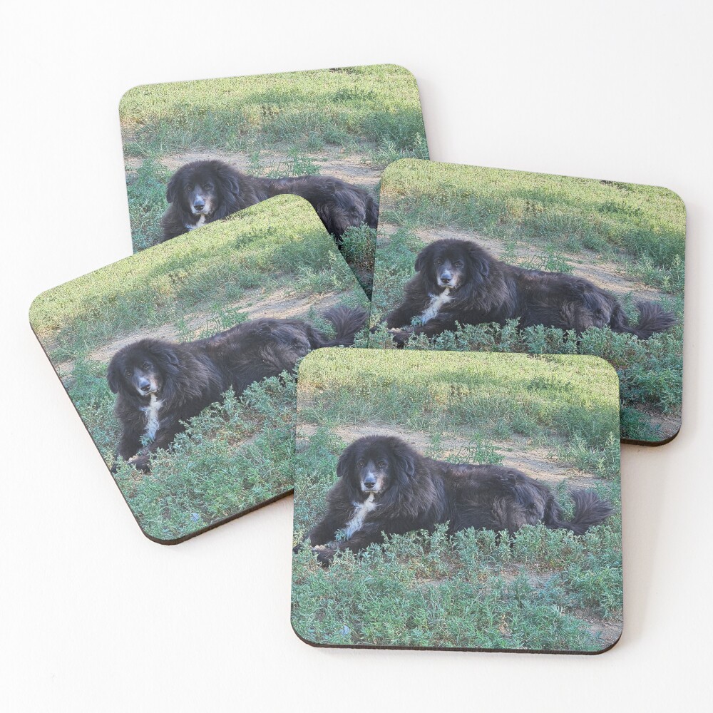Item preview, Coasters (Set of 4) designed and sold by DevynStone.