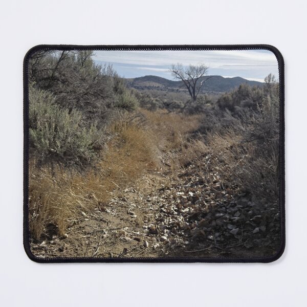 Item preview, Hidden Paths designed and sold by Betsy Phillips.