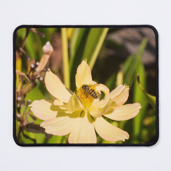Item preview, Honey Bee on Yellow Cosmos designed and sold by ROSE ANN BANILAR.