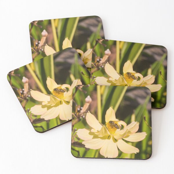 Item preview, Honey Bee on Yellow Cosmos designed and sold by ROSE ANN BANILAR.