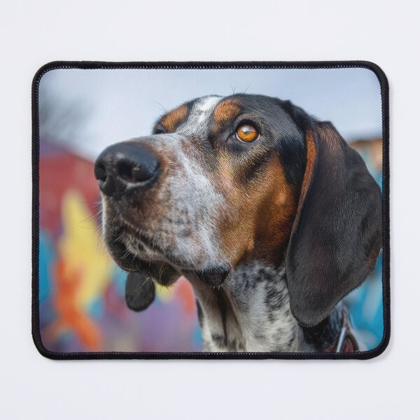 Item preview, Hamilton Hound designed and sold by Elisabeth Lucas.