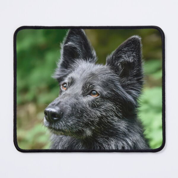 Item preview, Hungarian Mudi Dog designed and sold by Elisabeth Lucas.
