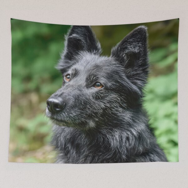 Item preview, Hungarian Mudi Dog designed and sold by Elisabeth Lucas.