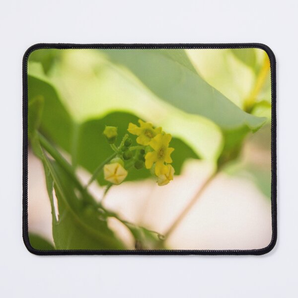 Item preview, Peanut Butter Fruit tree Flowers designed and sold by ROSE ANN BANILAR.