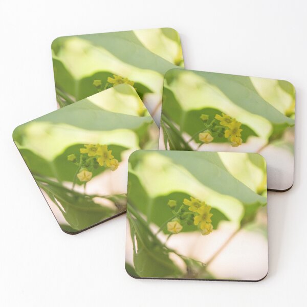 Item preview, Peanut Butter Fruit tree Flowers designed and sold by ROSE ANN BANILAR.