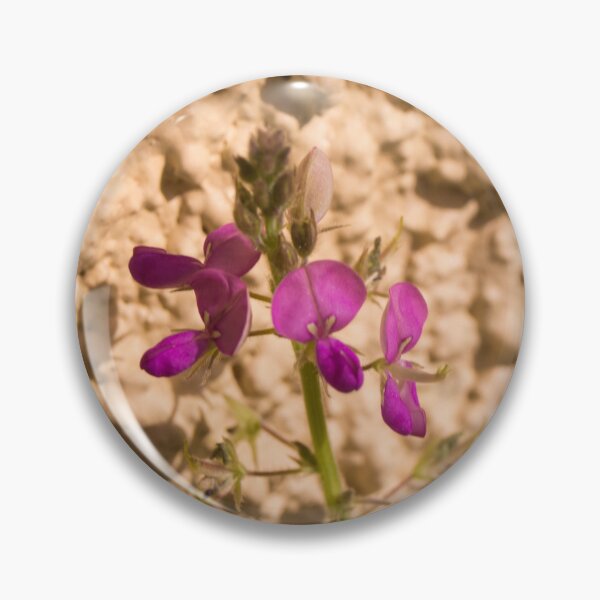 Item preview, Beggars lice or tick-trefoil designed and sold by ROSE ANN BANILAR.