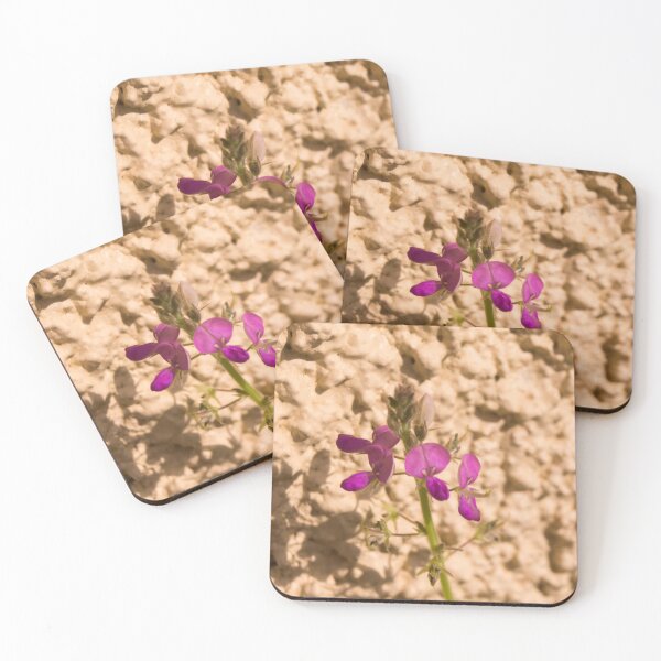 Item preview, Beggars lice or tick-trefoil designed and sold by ROSE ANN BANILAR.