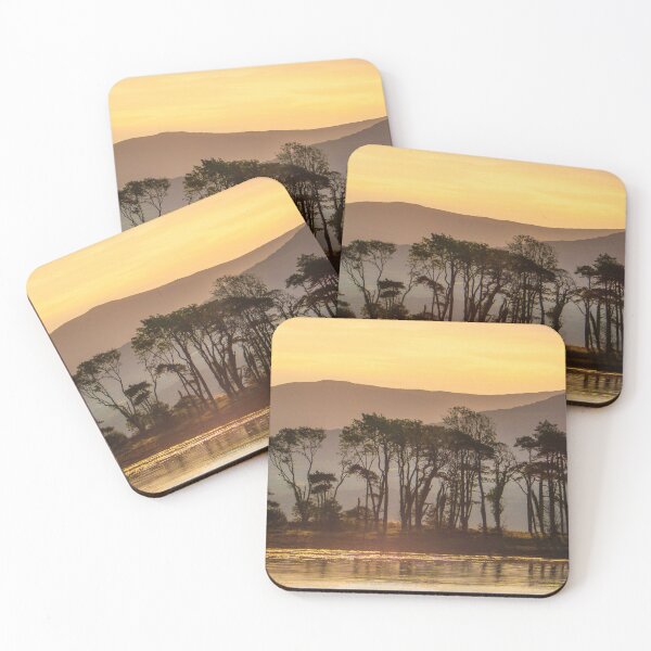 Item preview, Golden Hour Reflections with Silhouetted Trees (Kenmare Bay) designed and sold by TheHikersEye.