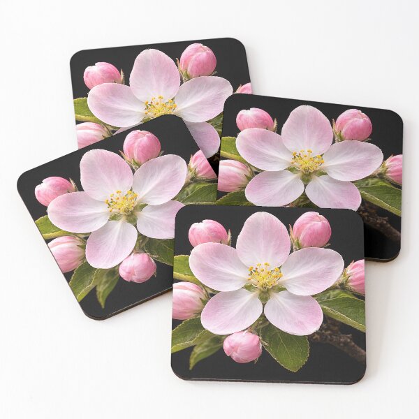 Item preview, Apple Blossom Pentagram designed and sold by Roland Keates aka Lost Histories .