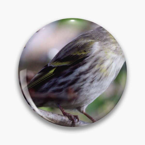 Item preview, siskin designed and sold by KathleenDawson.