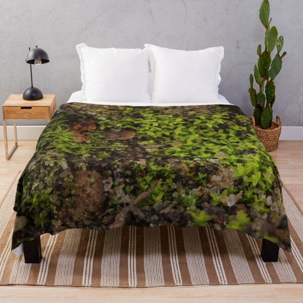 Item preview, Green Moss on Earth Macro Photography designed and sold by vikko-art.
