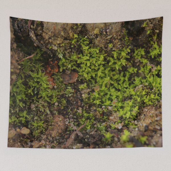 Item preview, Green Moss on Earth Macro Photography designed and sold by vikko-art.