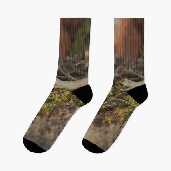Item preview, Forest Floor Macro – Tiny Moss and Twig designed and sold by vikko-art.